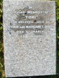 image of grave number 324311
